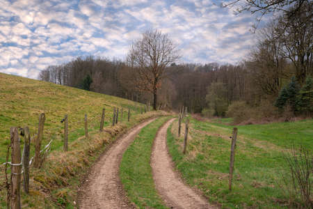Panoramic landscape along the long distance hiking trail Bergischer Panoramasteig, Bergisches Land, Germanyの写真素材