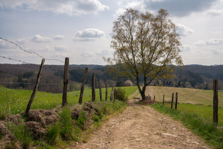 Panoramic landscape along the long distance hiking trail Bergischer Panoramasteig, Bergisches Land, Germanyの写真素材