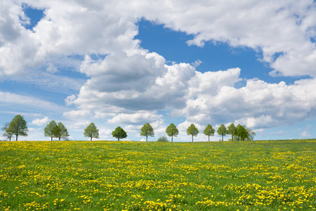 Panoramic landscape of meadow with clouds and blue sky at springtime, Bergisches Land, Germanyの写真素材