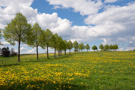 Panoramic landscape of meadow with clouds and blue sky at springtime, Bergisches Land, Germanyの写真素材