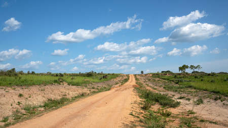 Panoramic scenic view into the landscape of Murchison Falls National Park, Ugandaの写真素材