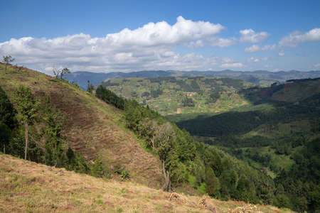 Panoramic image of rural landscape, Ugandaの写真素材