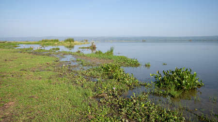 Landscape of Murchison Falls National Park, Ugandaの写真素材