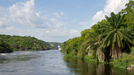 Landscape of Murchison Falls National Park, Ugandaの写真素材