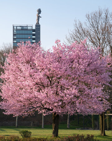ESSEN, GERMANY - MARCH 25, 2022: Nordsternpark, industrial heritage of Ruhr Metropolis on March 25, 2022 in Gelsenkirchen, Germanyのeditorial素材