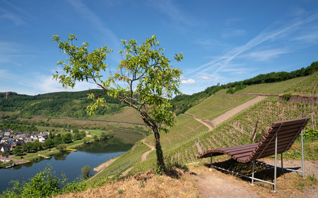 PUENDERICH, GERMANY - MAY 22, 2022: Panoramic view to the village Puenderich with Moselle river on May 22, 2022 in Germanyのeditorial素材
