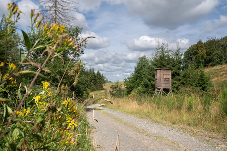 Panoramic image of deerstand within the landscape of Bergisches Land, Germanyの写真素材