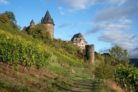 BACHARACH, GERMANY - OCTOBER 6, 2021: Panoramic image of Stahleck castle close to the Rhine river on October 6, 2021 in Bacharach, Rhine valley, Germanyのeditorial素材