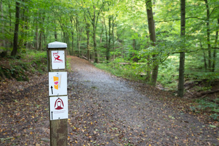 BINGEN, GERMANY - OCTOBER 7, 2021: Long distance Rhine Castle hiking trail with focus on the typical waymarks on October 7, 2021 in Germanyのeditorial素材