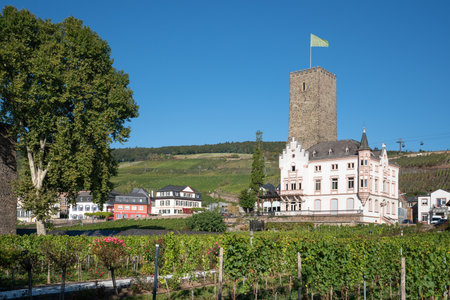 RUEDESHEIM, GERMANY - OCTOBER 8, 2021: Ruedesheim within the vineyards of the Rhine valley on a beautiful autumnal day on October 8, 2021 in Germanyのeditorial素材