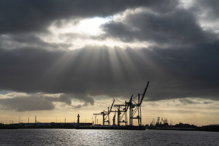HAMBURG, GERMANY - OCTOBER 23, 2021: Port of Hamburg in morning light on October 23, 2021 in Germanyのeditorial素材