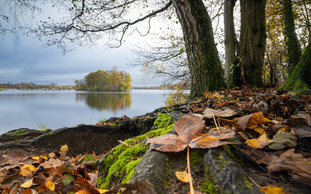 Panoramic image of Unterbach lake close to Dusseldorf during autumn, Germanyの写真素材