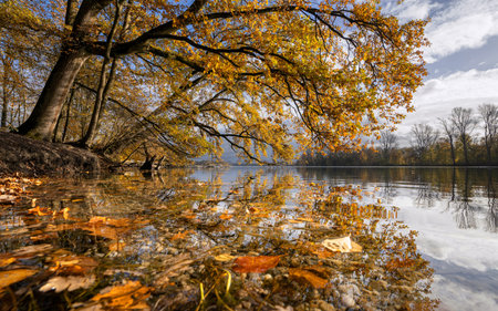 Panoramic image of Unterbach lake close to Dusseldorf during autumn, Germanyの写真素材
