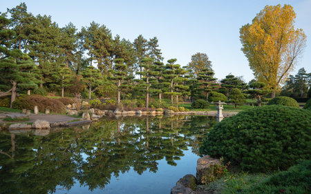 Panoramic image of Japanese Garden during autumn, Dusseldorf, Germanyの写真素材