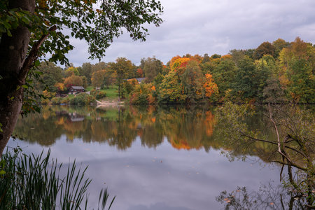 Panoramic image of Lake Henne during autumn, Sauerland, Germanyの写真素材