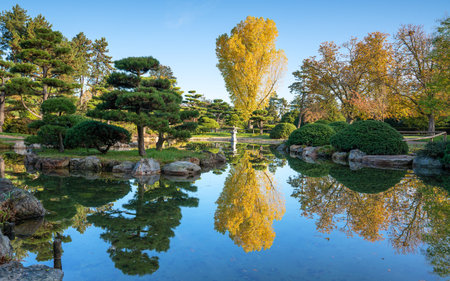 Panoramic image of Japanese Garden during autumn, Dusseldorf, Germanyの写真素材