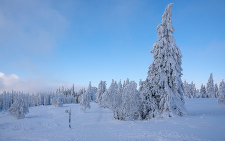 Panoramic landscape image of Kahler Asten during wintertime, Sauerland, Germanyの写真素材