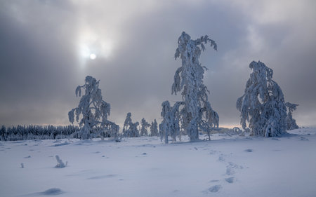 Panoramic landscape image of Kahler Asten during wintertime, Sauerland, Germanyの写真素材