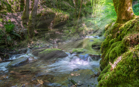 Panoramic image of a small creek cascading through a mystic valley, Eifel area, Rhineland-Palatinate, Germanyの写真素材