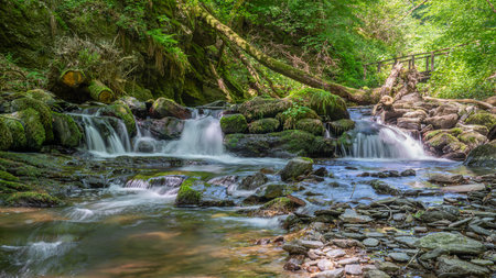 Panoramic image of a small creek cascading through a mystic valley, Eifel area, Rhineland-Palatinate, Germanyの写真素材