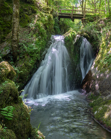 Panoramic image of a small creek cascading through a mystic valley, Eifel area, Rhineland-Palatinate, Germanyの写真素材