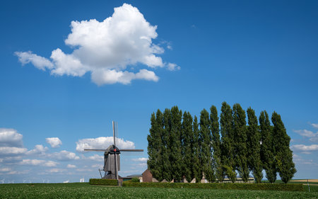 Panoramic image of windmill, Titz, North Rhine Westphalia, Germanyの写真素材