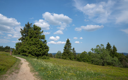 Panoramic landscape image, beautiful scenery of Rothaar Mountains on top of Kahler Asten Mountain, Sauerland, Germanyの写真素材