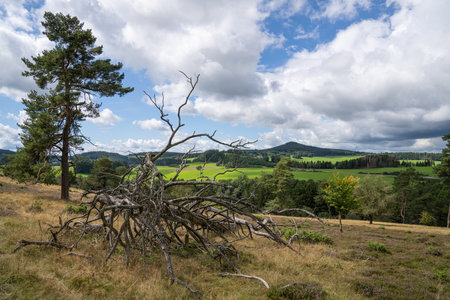 Panoramic image of landscape within the Vulkan Eifel, Rhineland-Palatinate, Germanyの写真素材