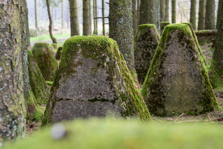 Dragon teeth, relics of Second World War on Western Germany, Westwall close to Hellenthal, Eifel,...