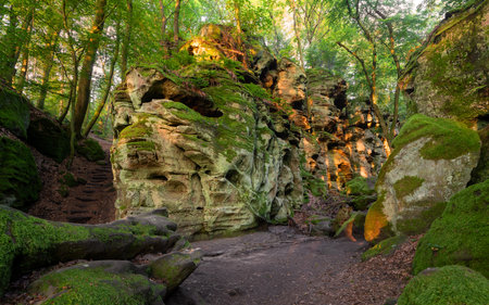 Panoramic landscape close to Trier, Eifel, Rhineland-Palatinate, Germanyの写真素材