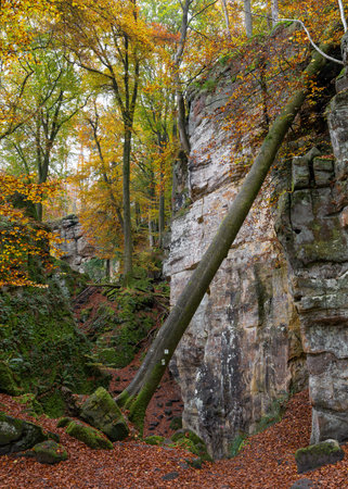 Panoramic landscape close to Trier, Eifel, Rhineland-Palatinate, Germanyの写真素材
