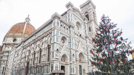 florence cathedral and christmas treeの写真素材