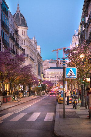 Madrid, Spain March 26, 2019. Vertical view of the streets of the center of Madridのeditorial素材