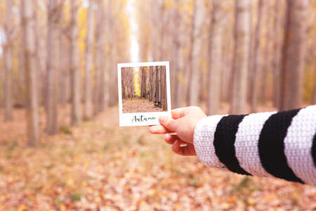 Close up of woman's hand holding and matching a snapshot with the scenery of a forest in the autumn season.の写真素材