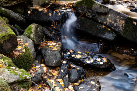 Stream flanked by dark wet rocks covered in yellow autumnal birch leaves. Selective focus....