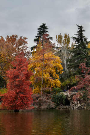 Tricolor set of trees with autumnal hues with a calm lake in the foreground. Vertical photography. Copy space.の写真素材