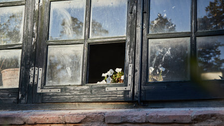 Greenhouse window through which some white flowers illuminated by the evening sun appear through a hole in the window. Panoramic photos.の写真素材