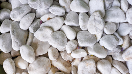 Medium-sized white pebble mosaic. Copyspace.