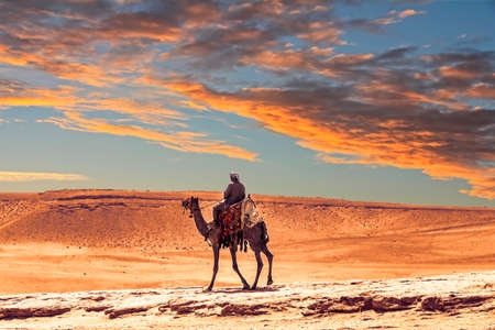 Bedouin on camel near pyramids in desertの写真素材