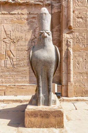 The Falcon God Horus at Edfu Temple, Located on the west bank of the Nile, Edfu, Upper Egyptの写真素材