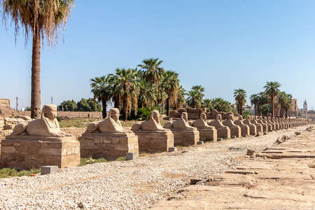 Sphinxes road at entrance to Luxor Temple, a large Ancient Egyptian temple complex located on the east bank of the Nile River in the city today known as Luxor (ancient Thebes).の写真素材