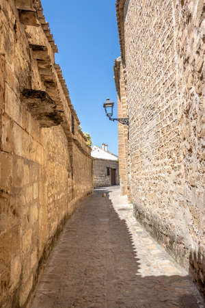 Medieval old town of Baeza, Jaen, Spain.のeditorial素材
