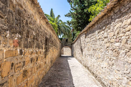 Medieval old town of Baeza, Jaen, Spain.のeditorial素材