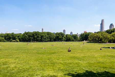 People sunbathing in central park, New Yorkの写真素材