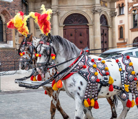 Horse carriages at main square in Krakow, Polandの写真素材