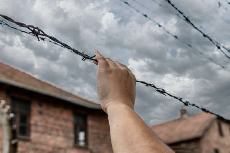 A woman's hand grasping barbed wireの写真素材