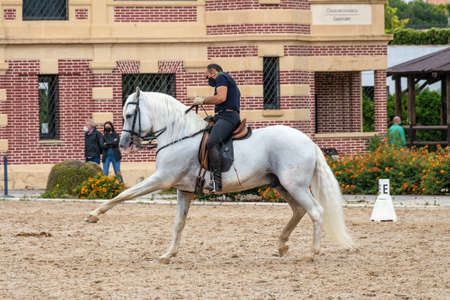 Jerez de la Frontera, Cadiz, Spain - June 17, 2021: Rider performing training exercises with a purebred Andalusian white horseのeditorial素材