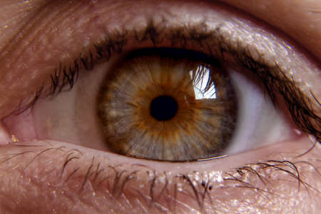 Macro photography of the pupil of an eye