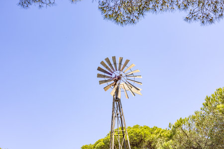Windmill with a water pump to supply water to the house of the English, from the end of the 19th...