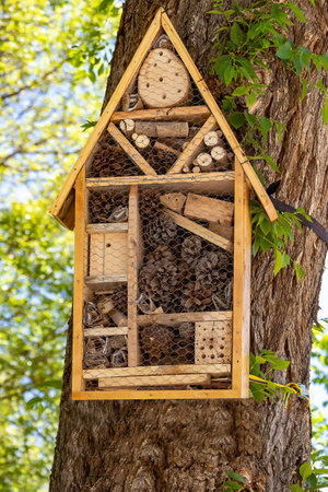 Insect hotel. This insect hotel is a tool for integrated pest control. With it, shelter is given to species, necessary for agriculture and ecosystems such as beesの写真素材